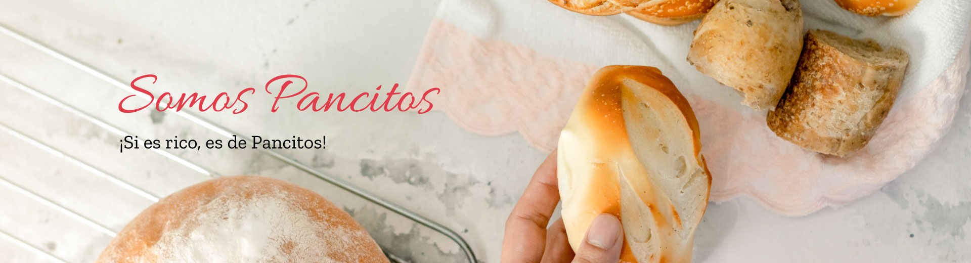 banner-nosotros